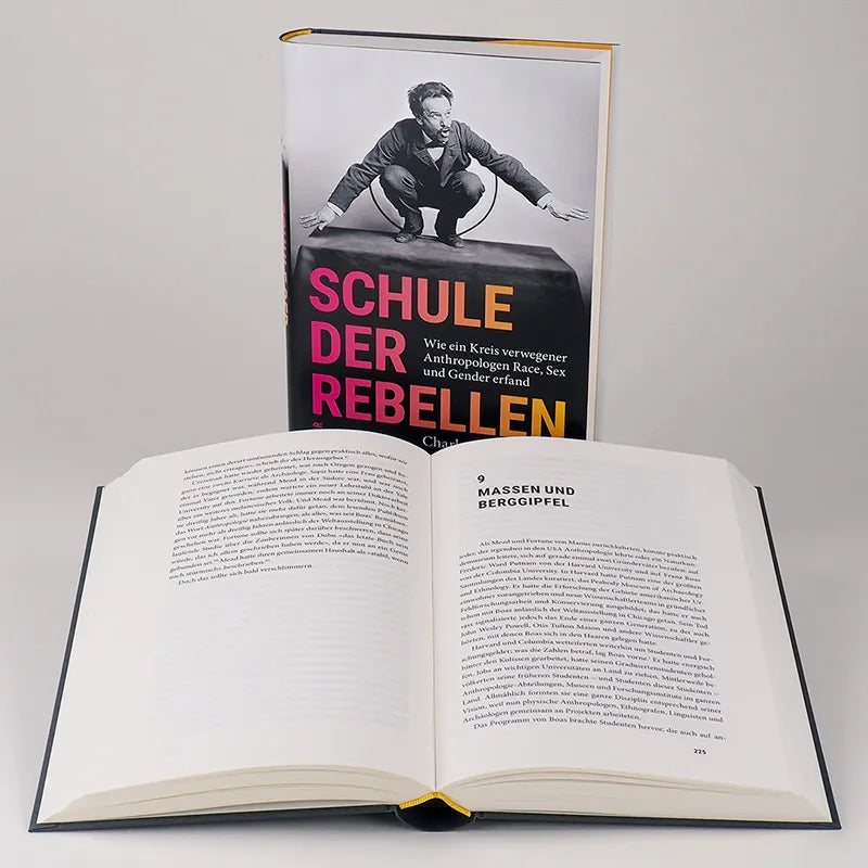 Produktansicht: Schule der Rebellen (Gebundene Ausgabe)