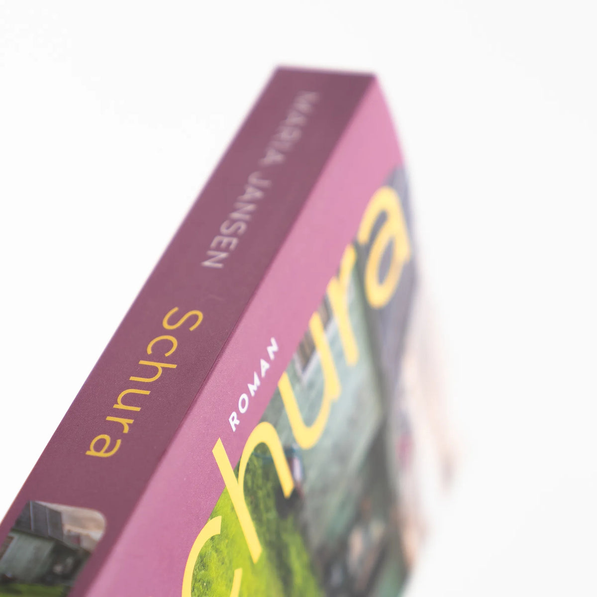 Produktansicht: Schura (Taschenbuch)