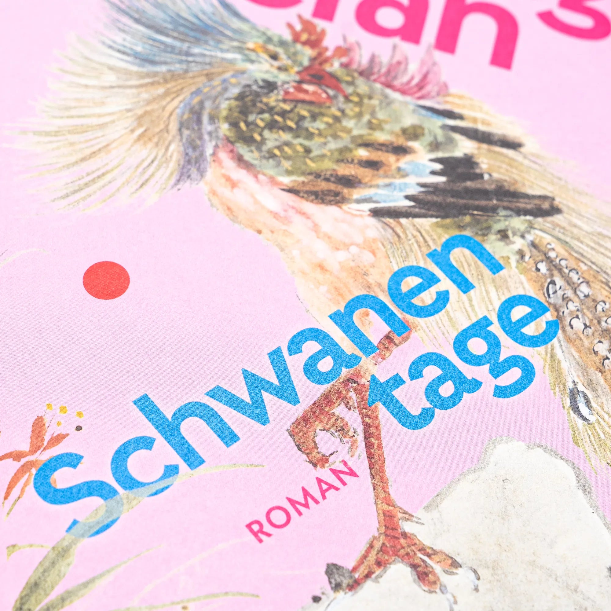 Detailansicht: Schwanentage (Hardcover)