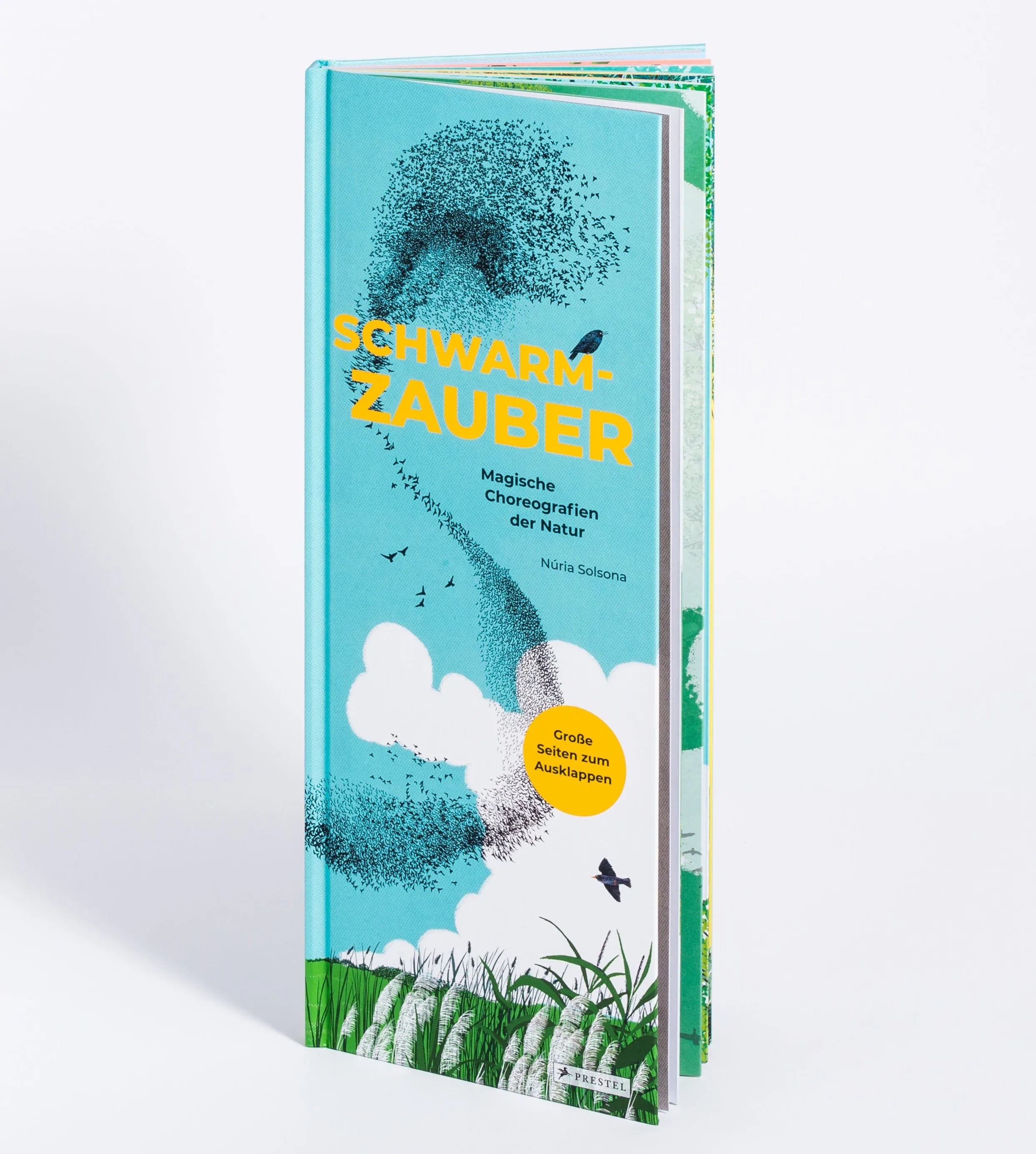 Cover: Schwarmzauber: Magische Choreografien der Natur (Hardcover) von Núria Solsona