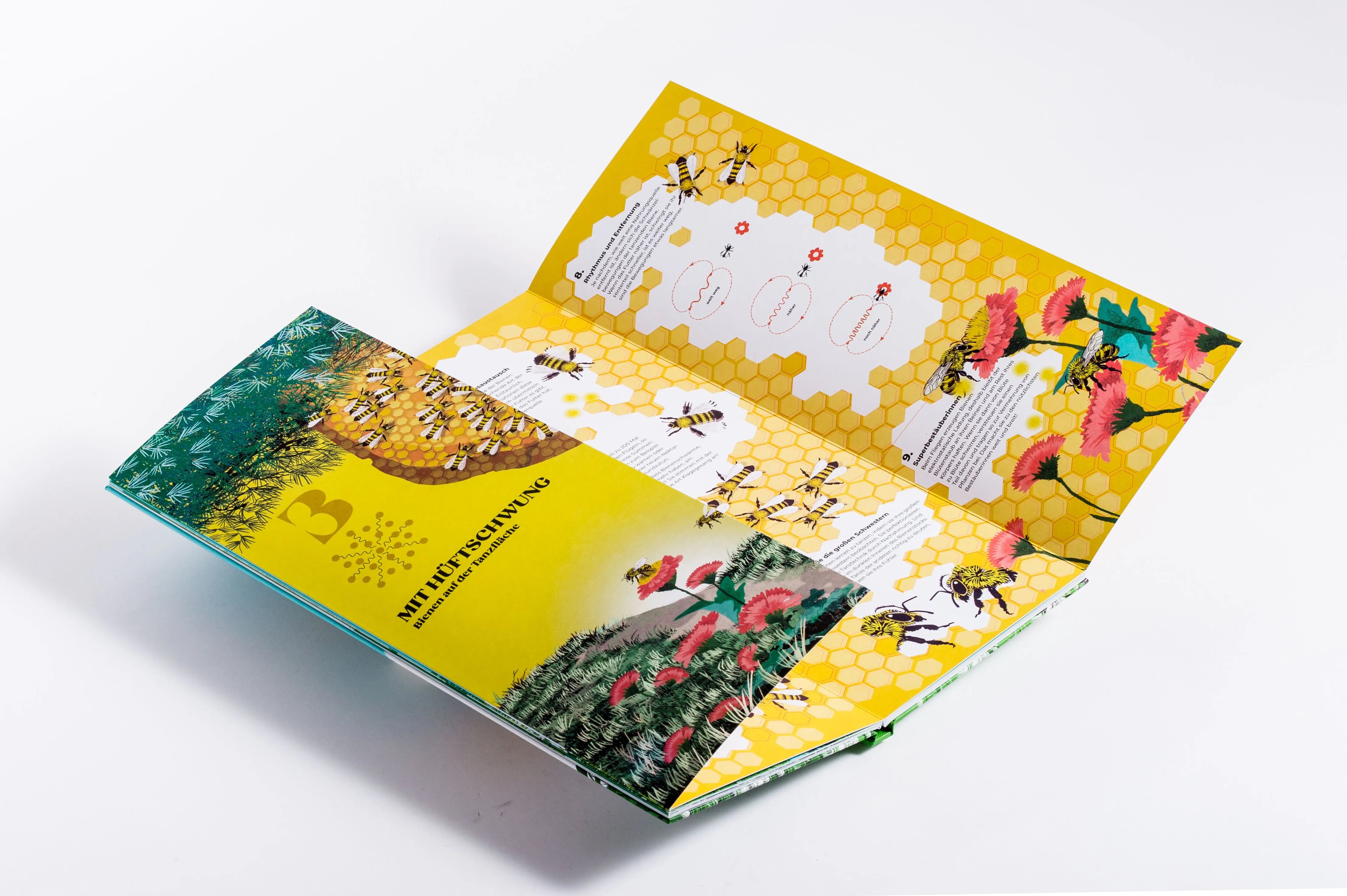 Detailansicht: Schwarmzauber: Magische Choreografien der Natur (Hardcover)