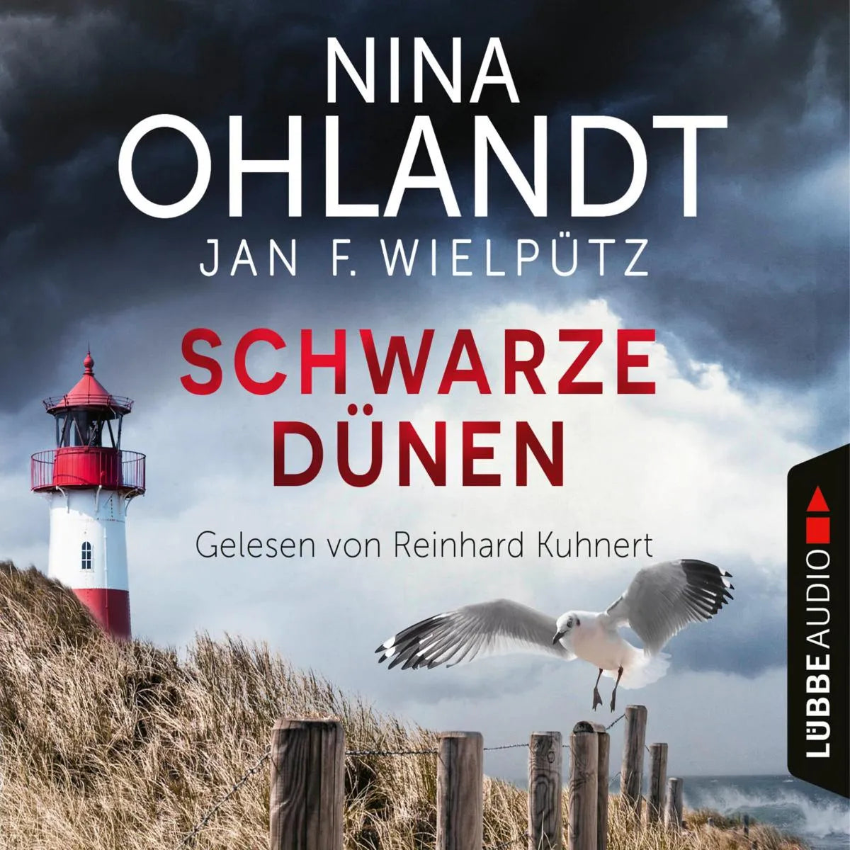 Cover: Schwarze Dünen - John Benthiens neunter Fall (Hörbuch Download) von Nina Ohlandt