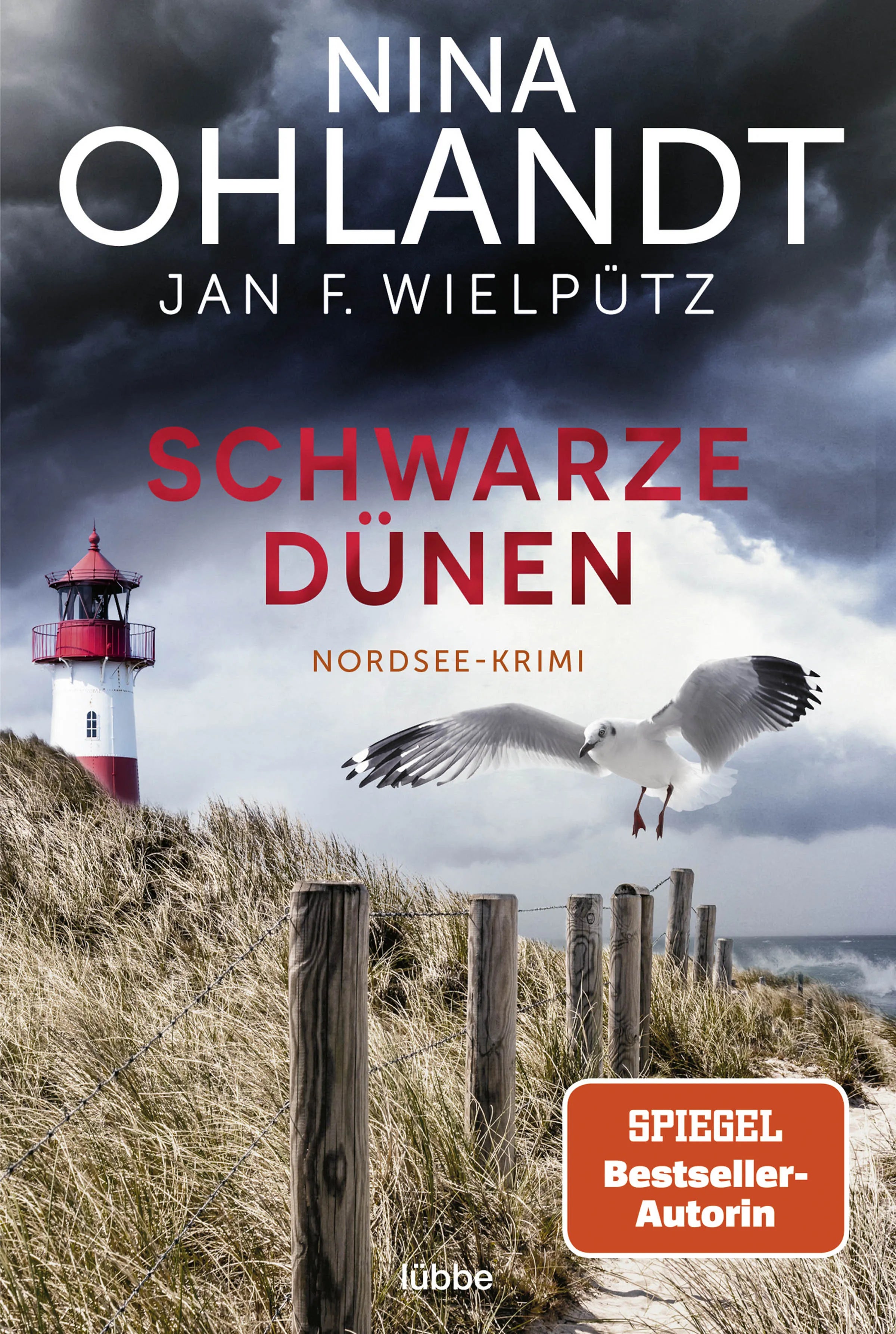 Buchcover von 'Schwarze Dünen' - Taschenbuch von Nina Ohlandt