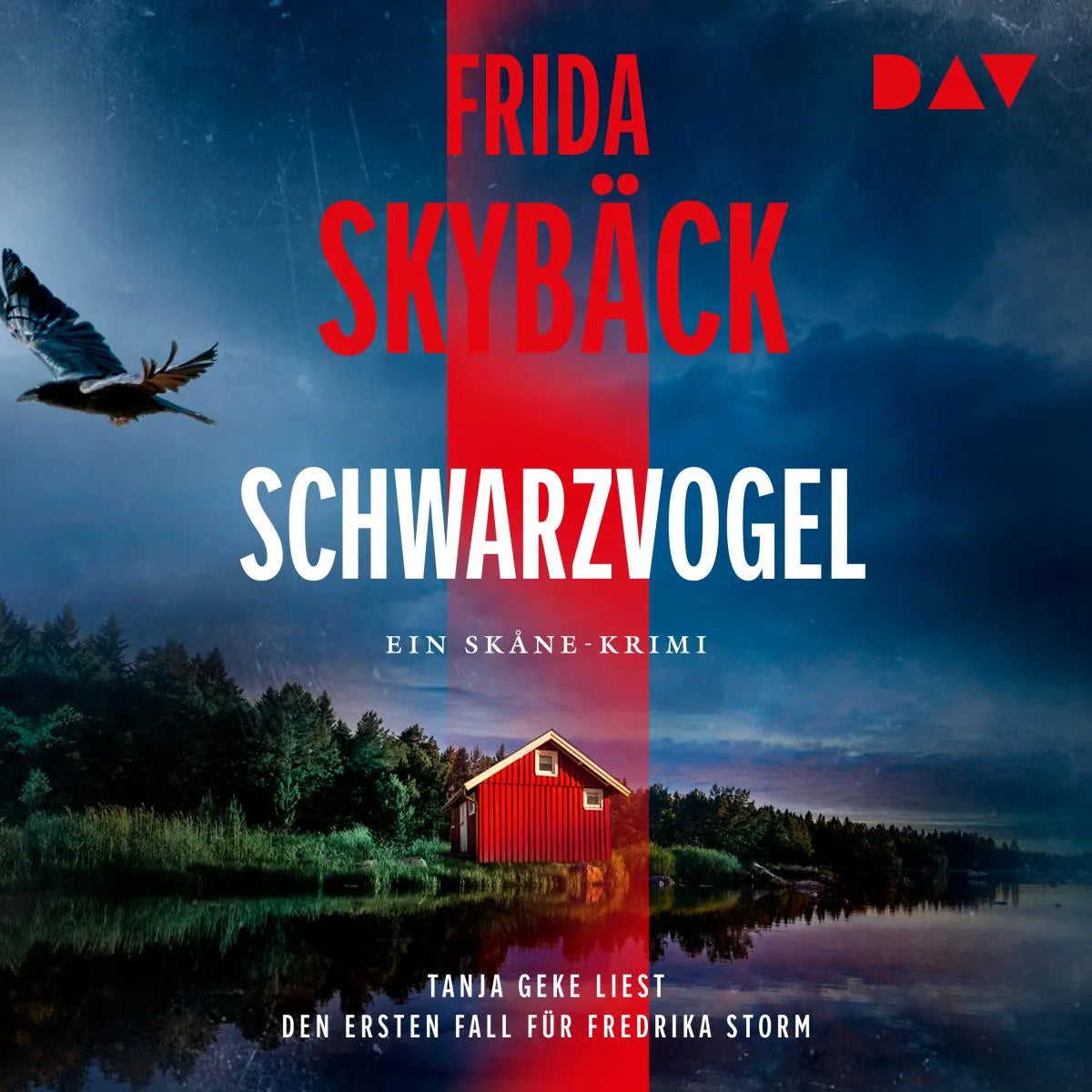 Cover: Schwarzvogel. Der erste Fall für Fredrika Storm (Hörbuch Download) von Frida Skybäck