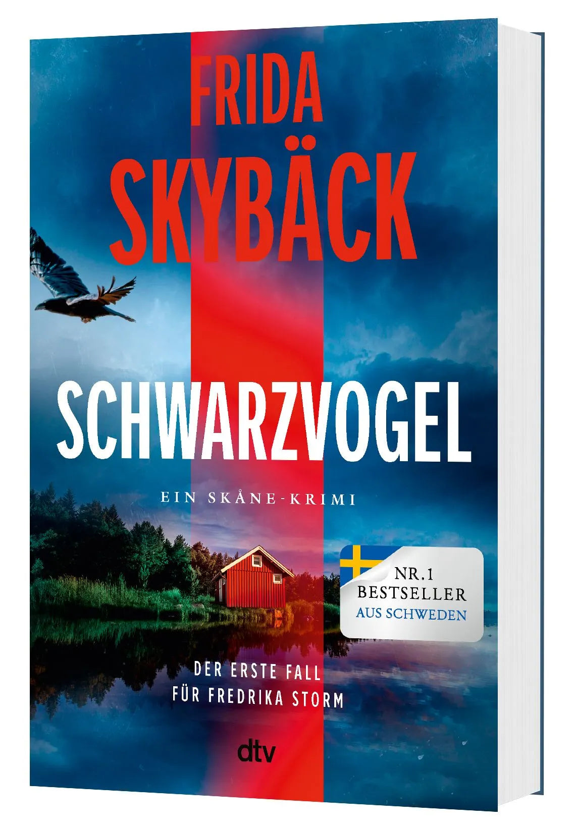 Detailansicht: Schwarzvogel (Paperback)