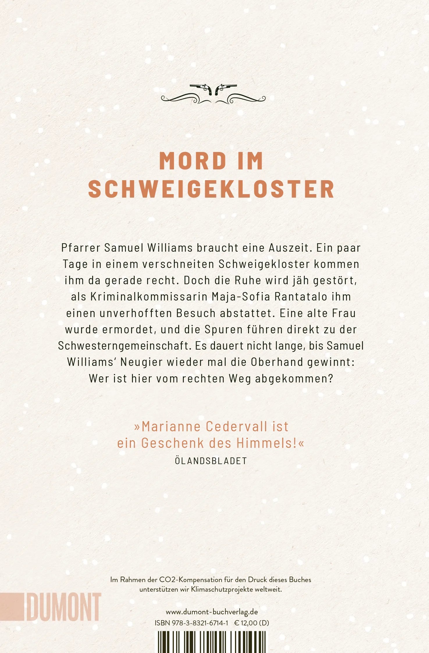 Buchrückseite von 'Schwedische Schwestern' mit Klappentext - Taschenbuch