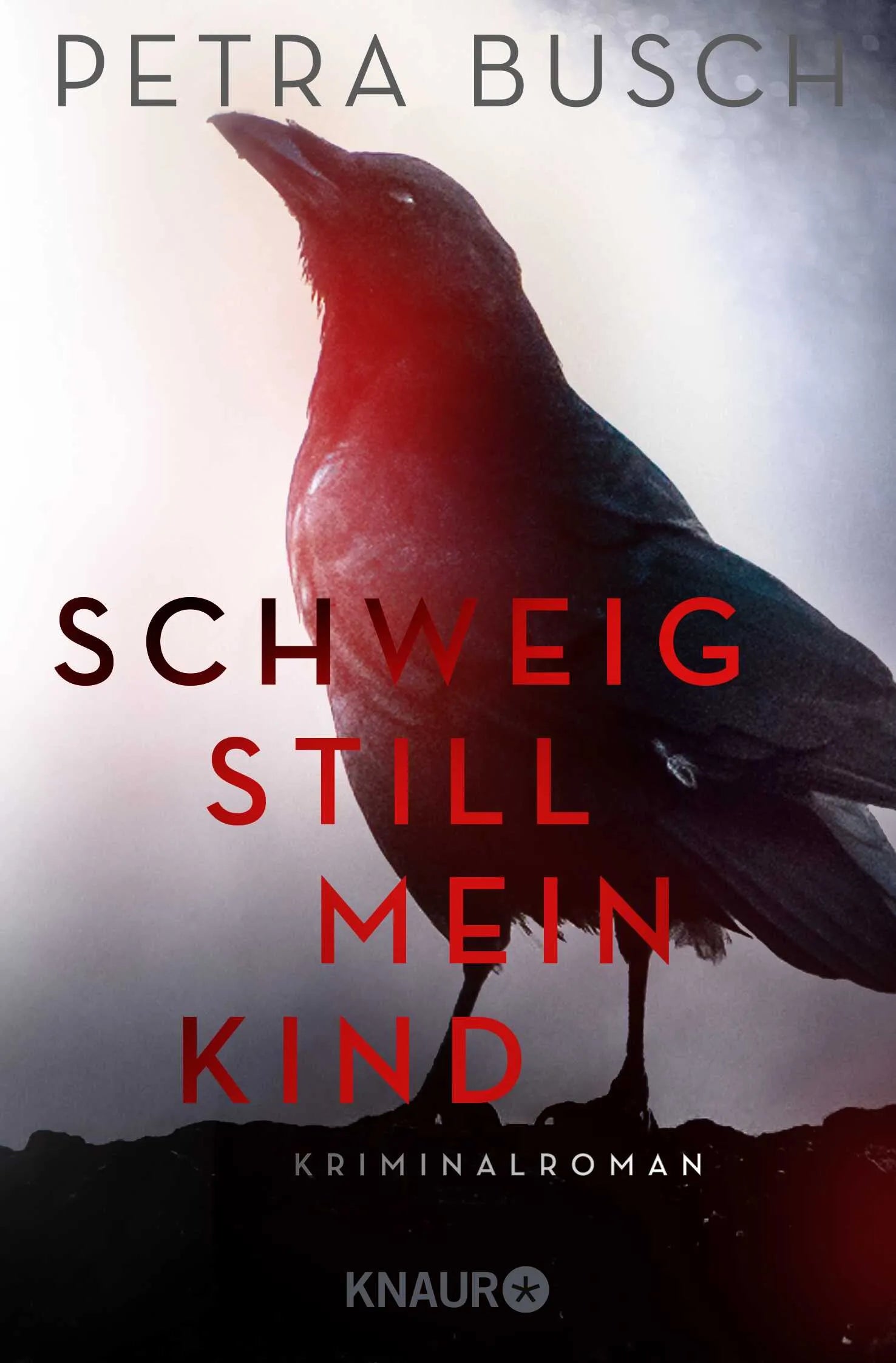 Buchcover von 'Schweig still, mein Kind' - Taschenbuch von Petra Busch