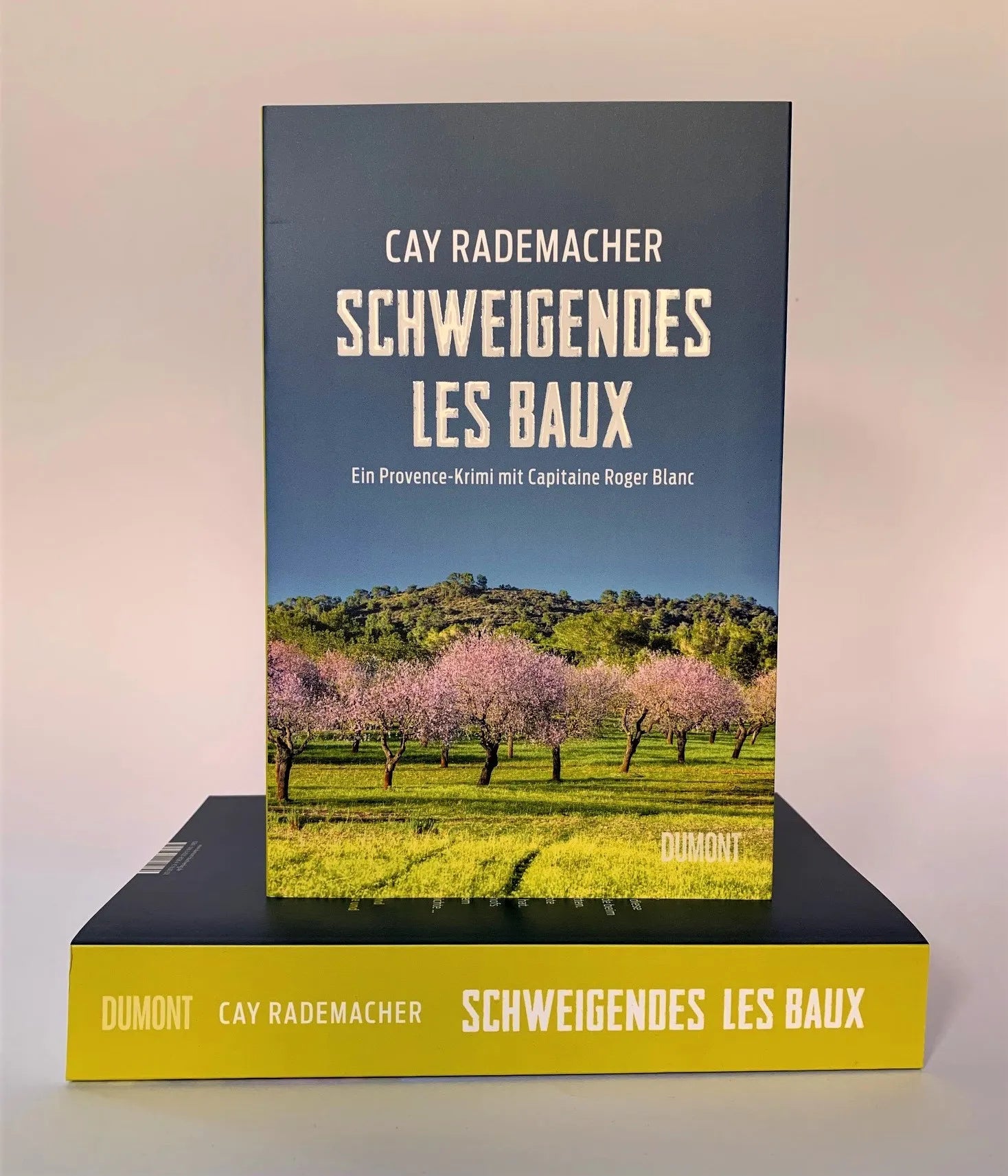 Abbildung von 'Schweigendes Les Baux'