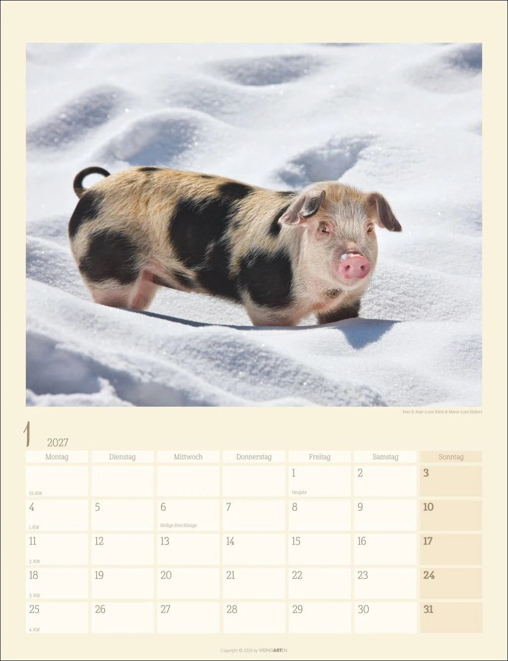 Schweinchen Kalender 2027 – Ansicht