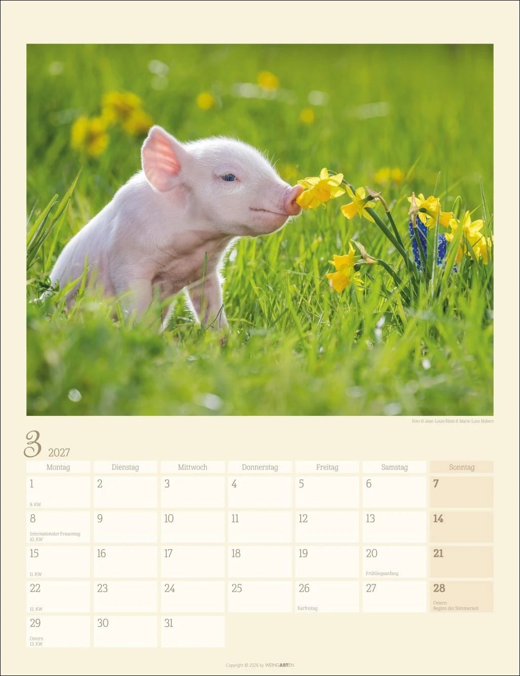 Schweinchen Kalender 2027 – Ansicht