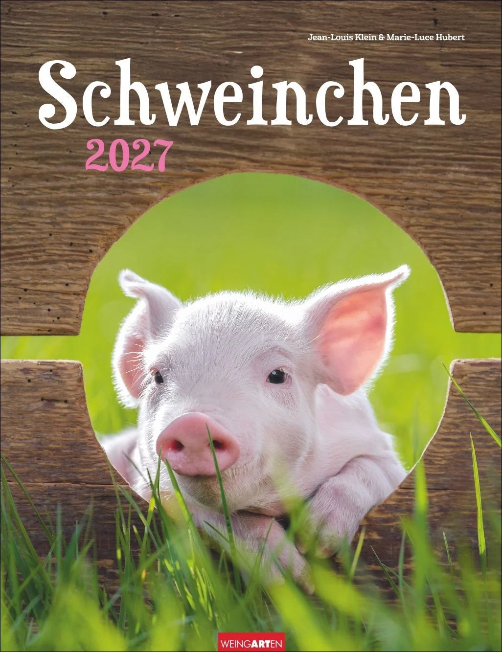 Wandkalender: Schweinchen Kalender 2027