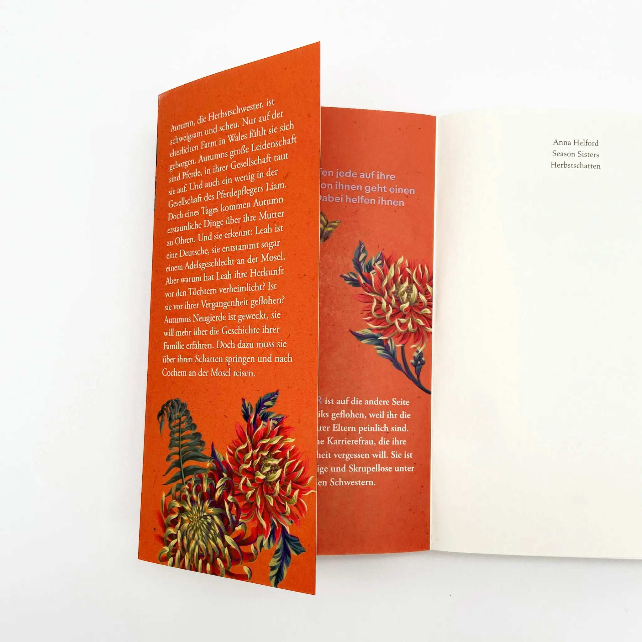 Abbildung von 'Season Sisters – Herbstschatten'