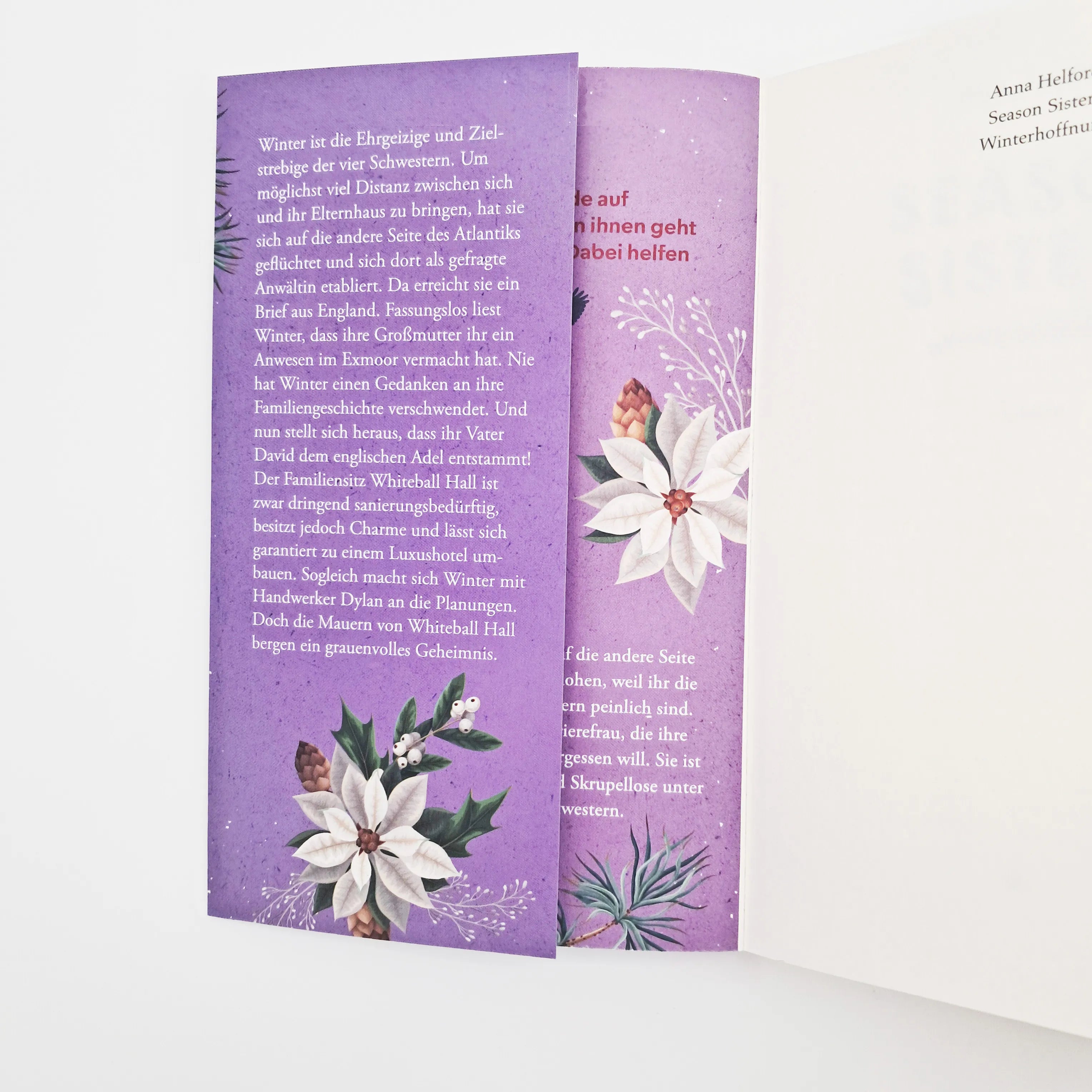 Produktansicht: Season Sisters – Winterhoffnung (Taschenbuch)