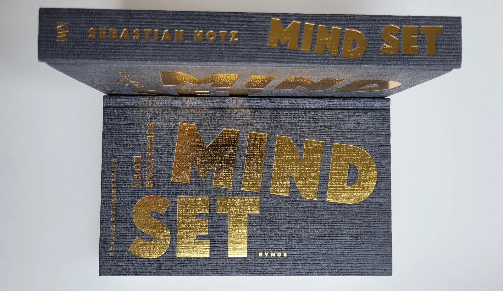 Produktansicht: Mindset (Gebundene Ausgabe)