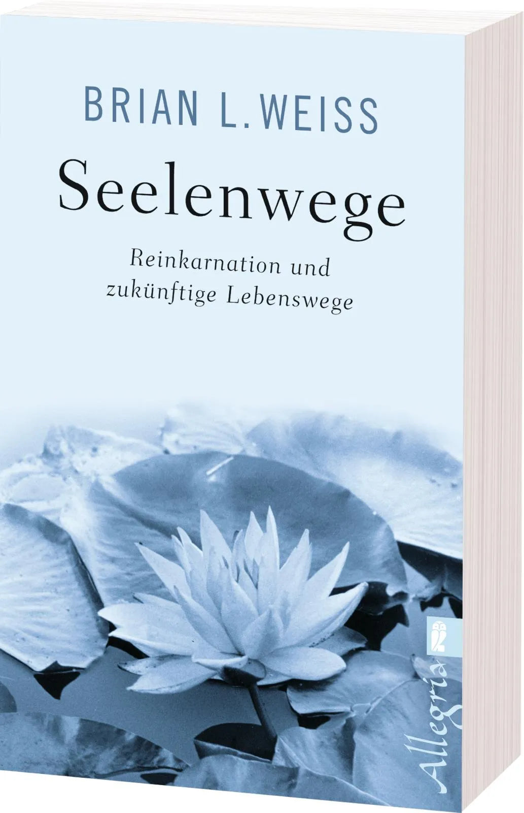 Produktansicht: Seelenwege (Taschenbuch)