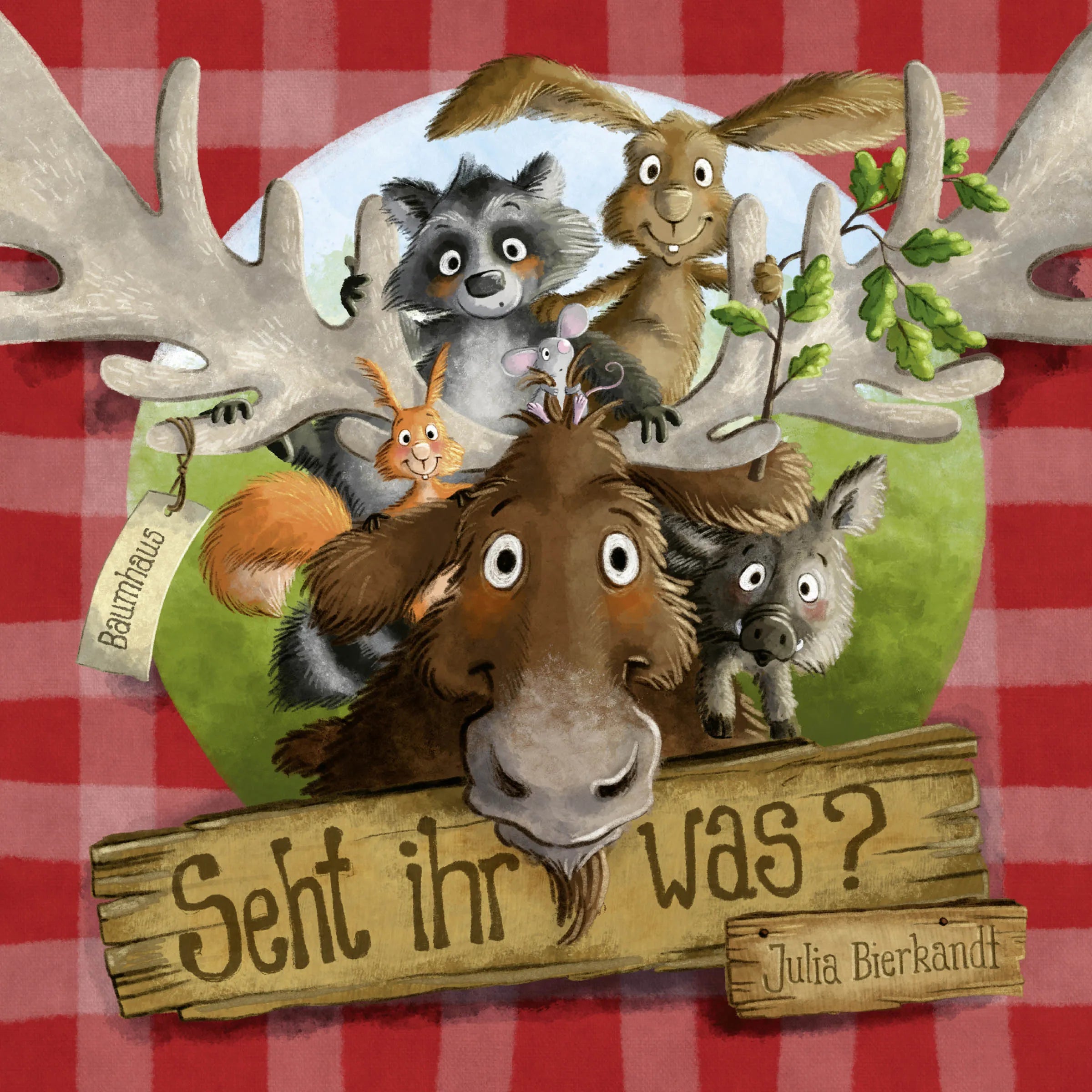 Buchcover von 'Seht ihr was?' - Gebundene Ausgabe von Julia Bierkandt