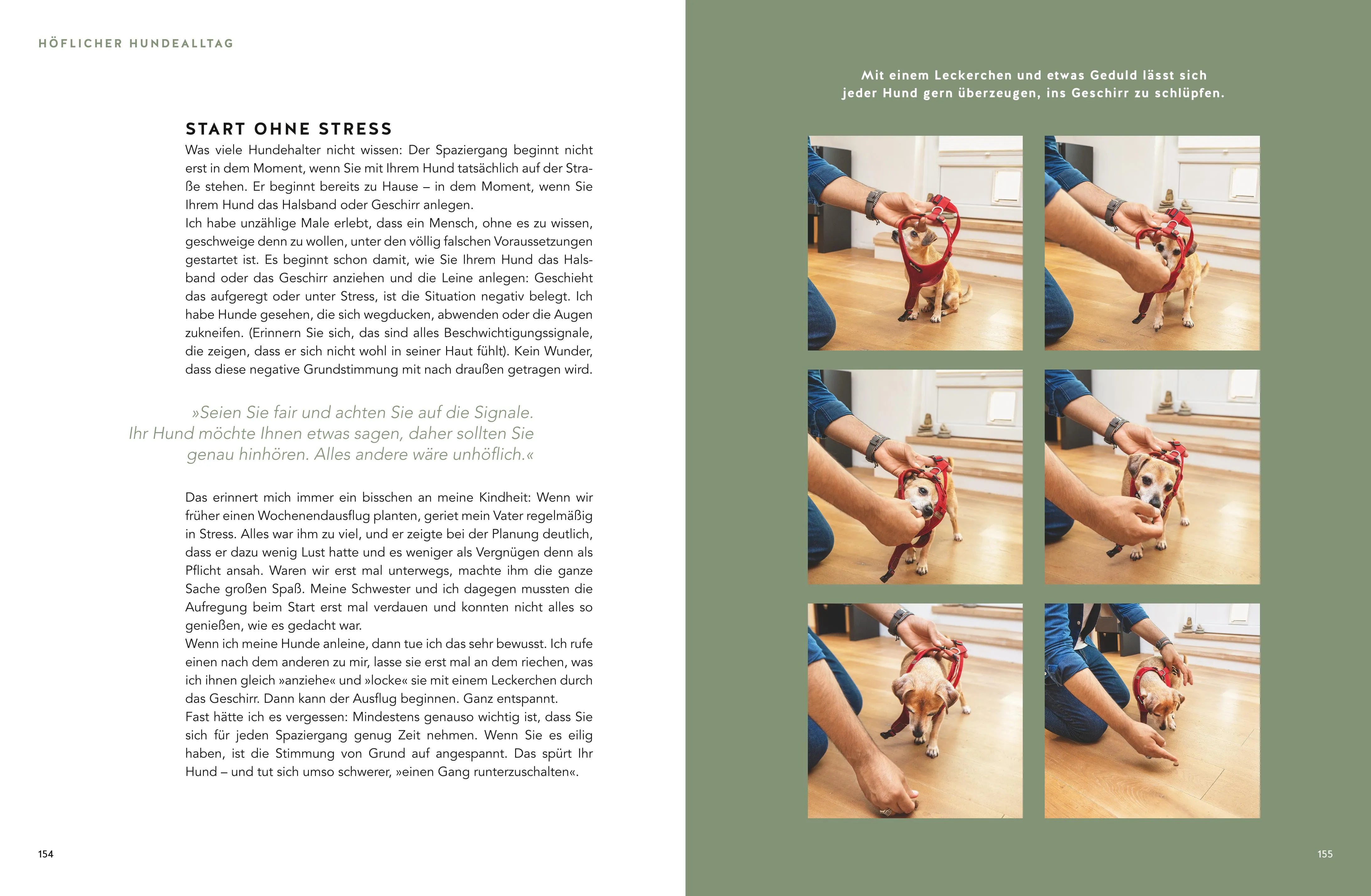 Produktansicht: Sei höflich zu deinem Hund! (Gebundene Ausgabe)