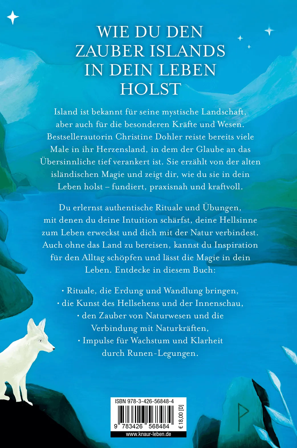 Rückseite: Seiðr (Taschenbuch)