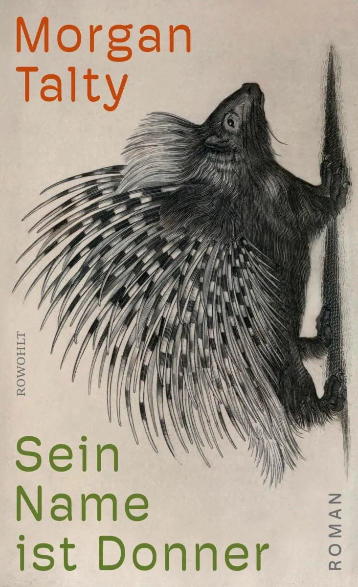 Cover: Sein Name ist Donner (E-Book) von Morgan Talty