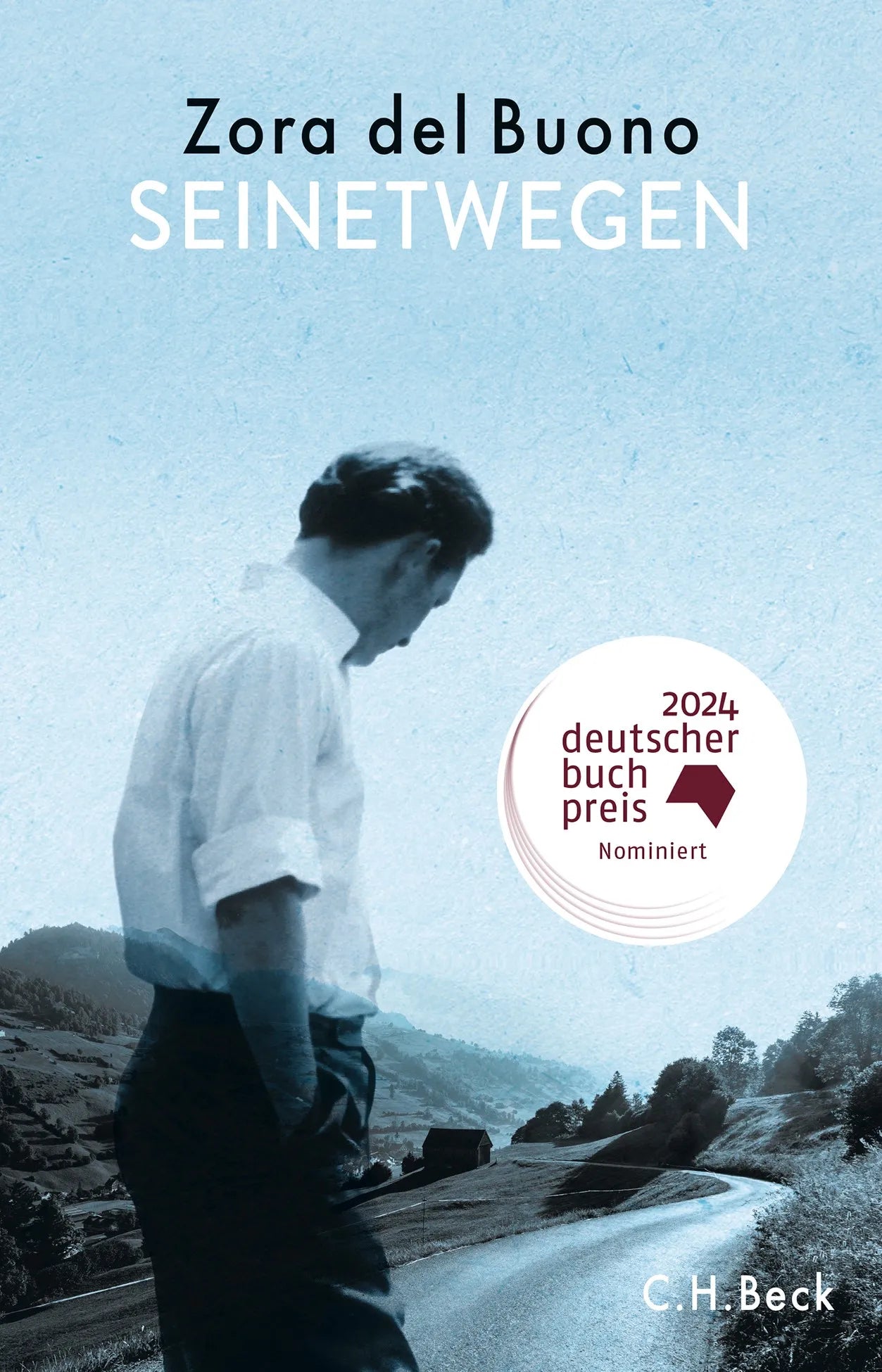 Cover: Seinetwegen (Hardcover) von Zora del Buono