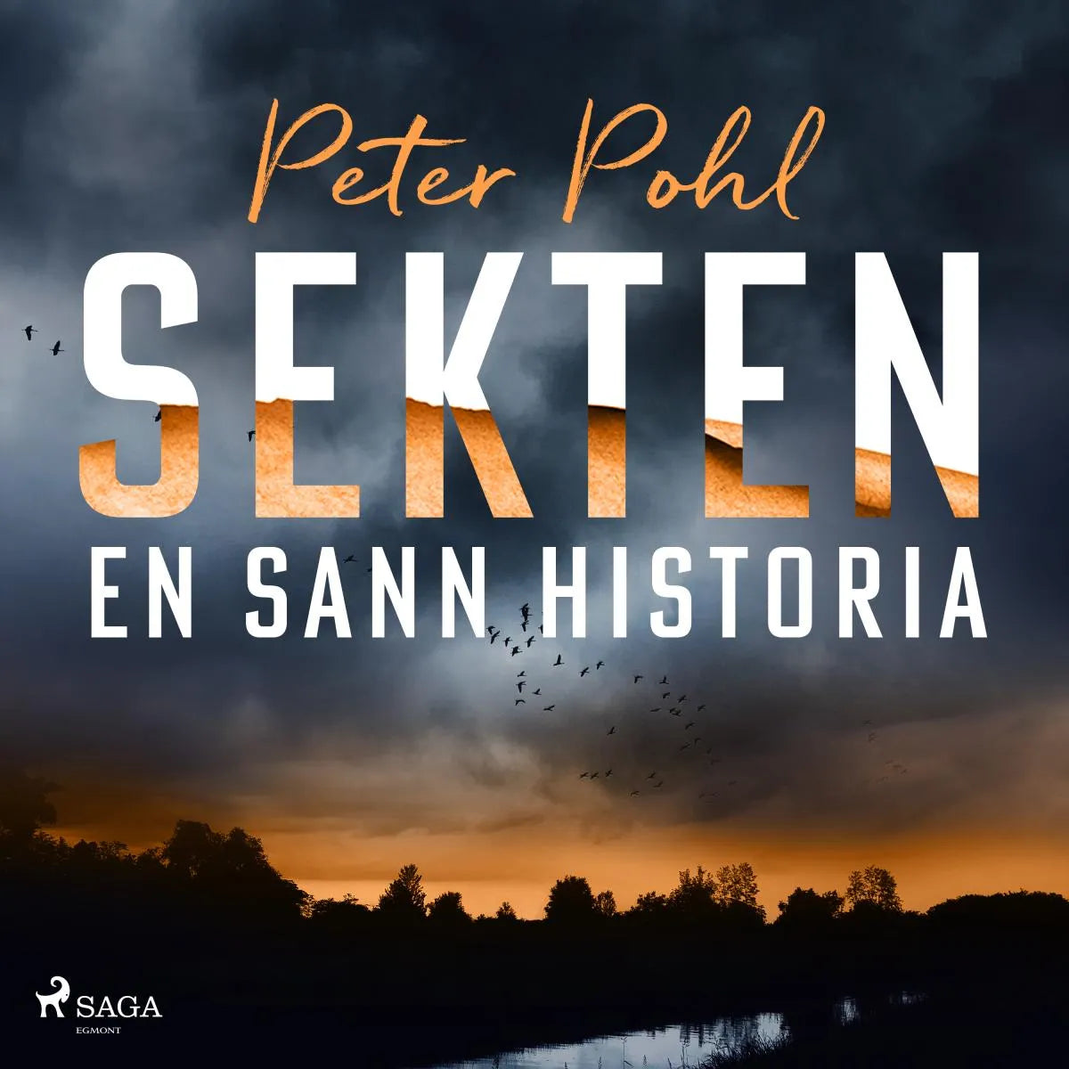 Cover: Sekten: en sann historia (Hörbuch Download) von Peter Pohl