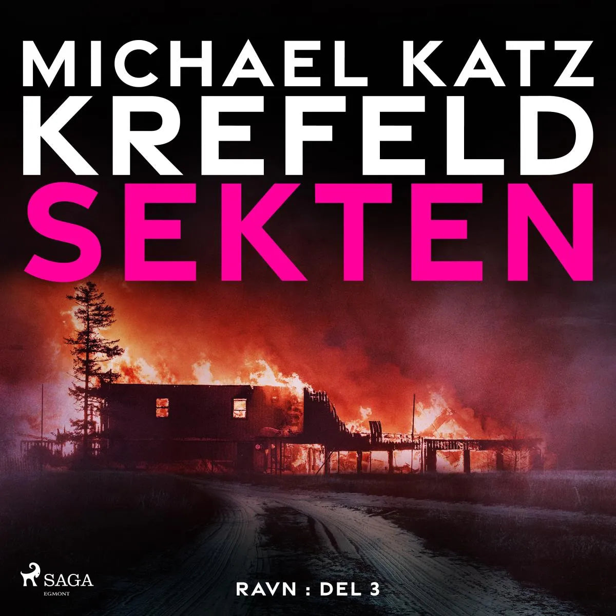 Cover: Sekten (Hörbuch Download) von Michael Katz Krefeld