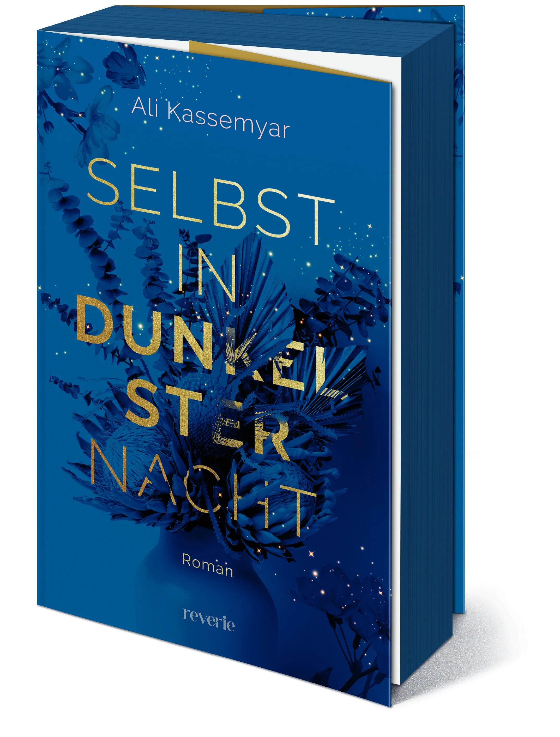 Ali Kassemyar - Selbst in dunkelster Nacht