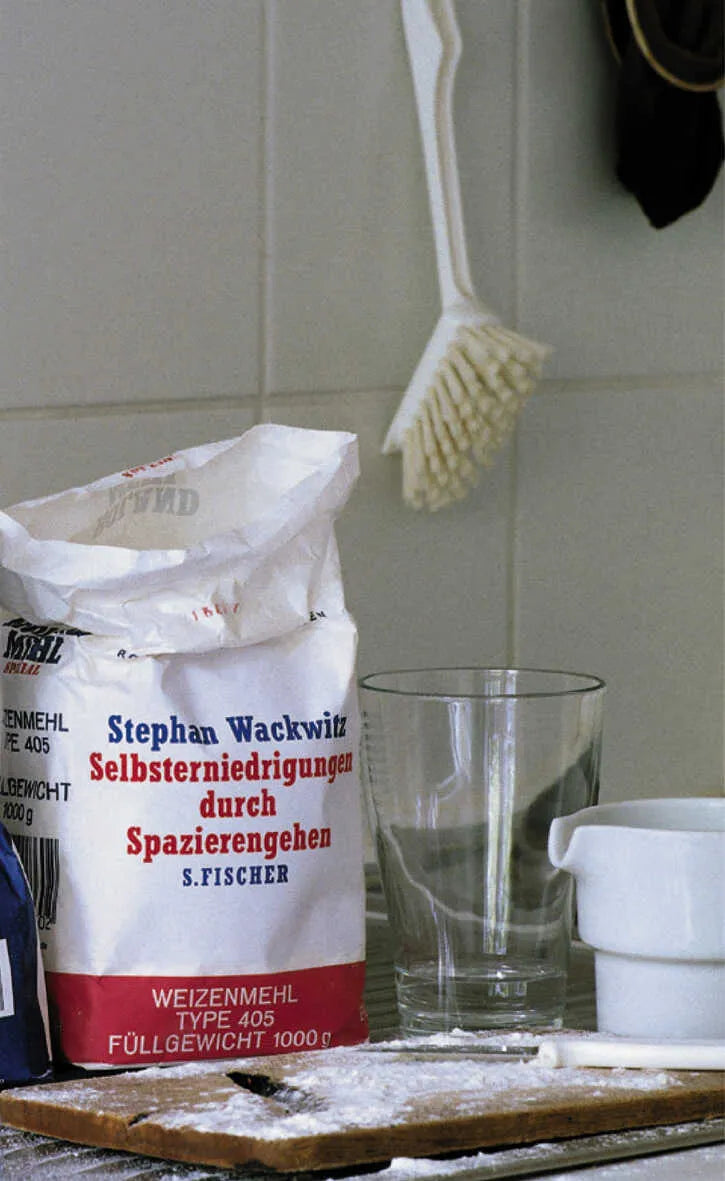 Buchcover von 'Selbsterniedrigung durch Spazierengehen' - Gebundene Ausgabe von Stephan Wackwitz