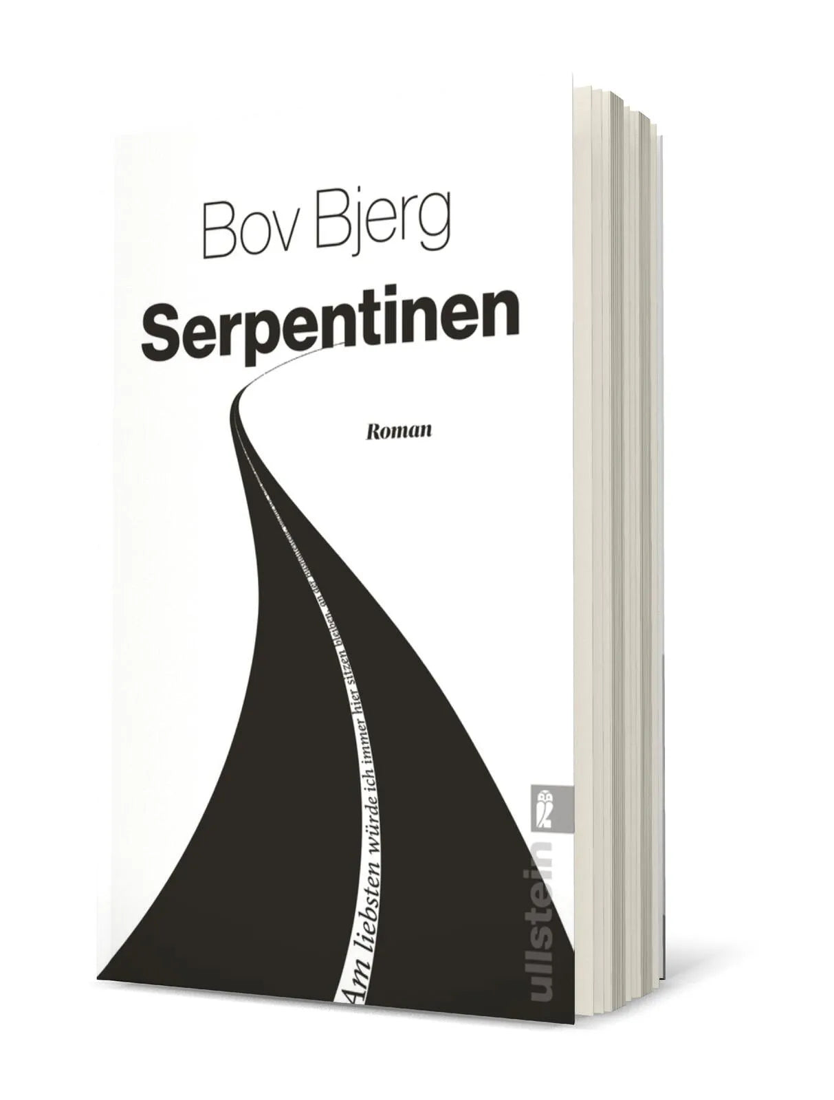 Produktansicht: Serpentinen (Taschenbuch)