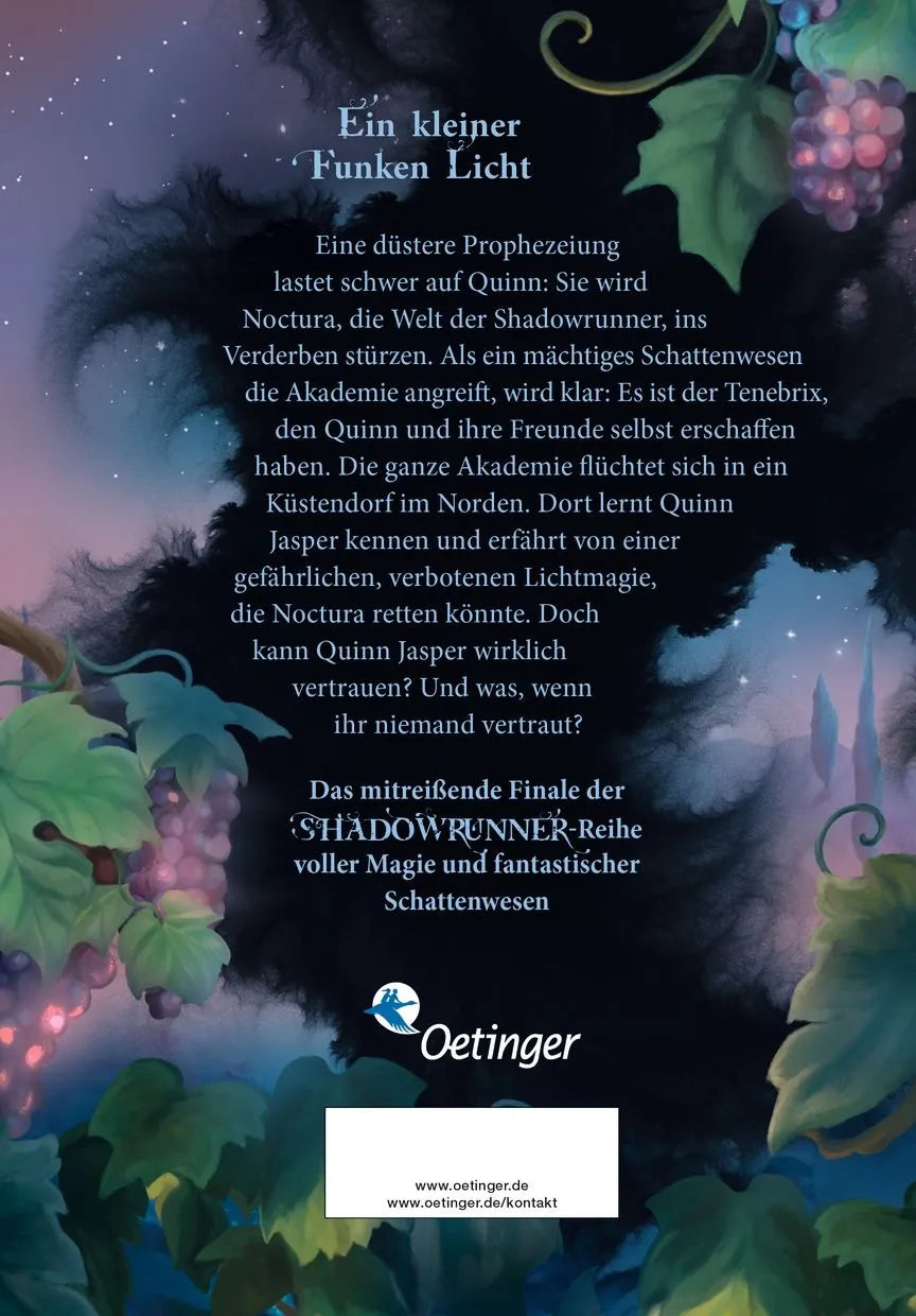 Rückseite: Shadowrunner 2. Die Magie von Licht und Schatten (Hardcover)