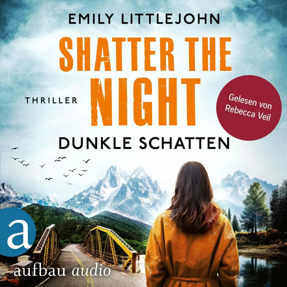 Cover: Shatter the Night - Dunkle Schatten (Hörbuch Download) von Emily Littlejohn