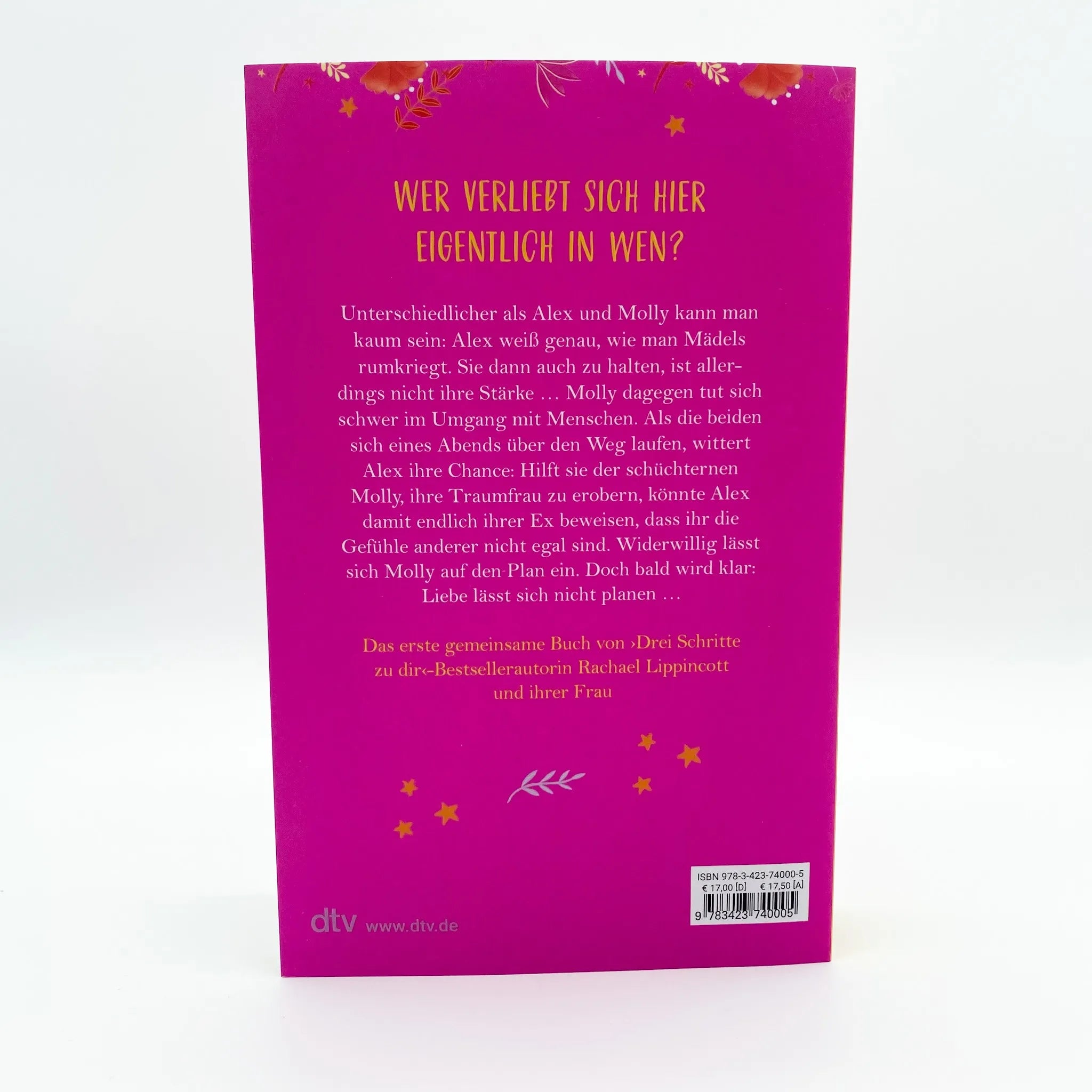 Abbildung von 'She Gets the Girl'