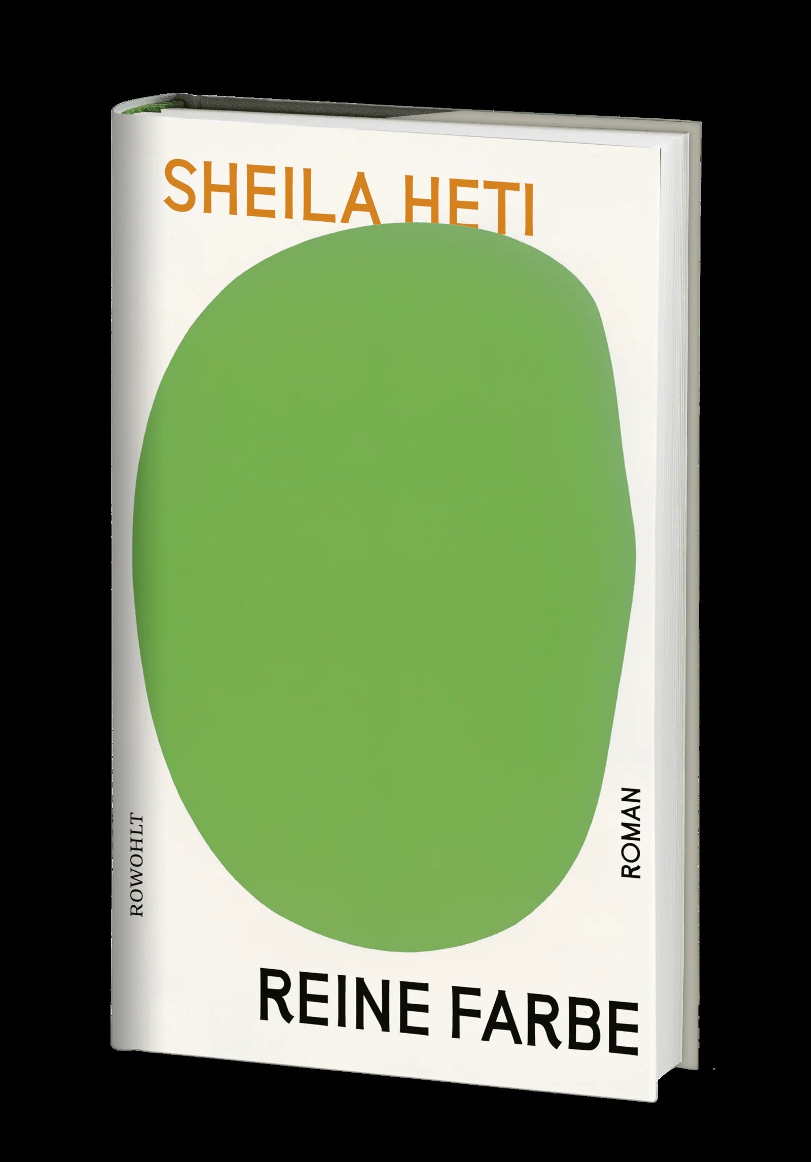 Produktansicht: Reine Farbe (Gebundene Ausgabe)