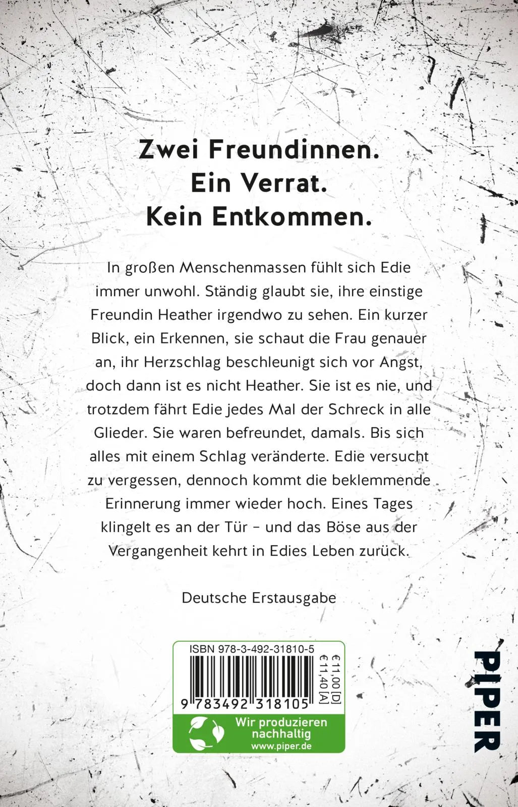 Buchrückseite von 'Sie beobachtet dich' mit Klappentext - Taschenbuch