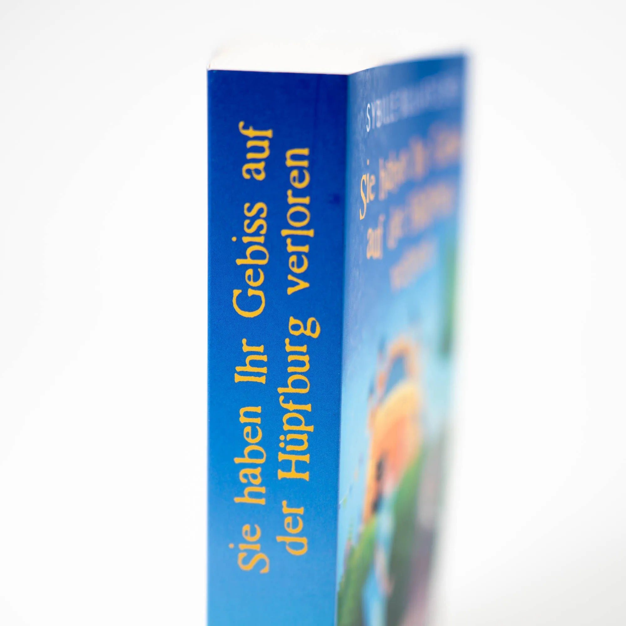 Produktansicht: Sie haben Ihr Gebiss auf der Hüpfburg verloren (Taschenbuch)