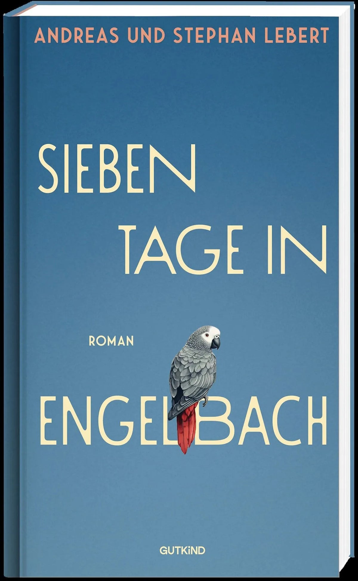 Detailansicht: Sieben Tage in Engelbach (Hardcover)