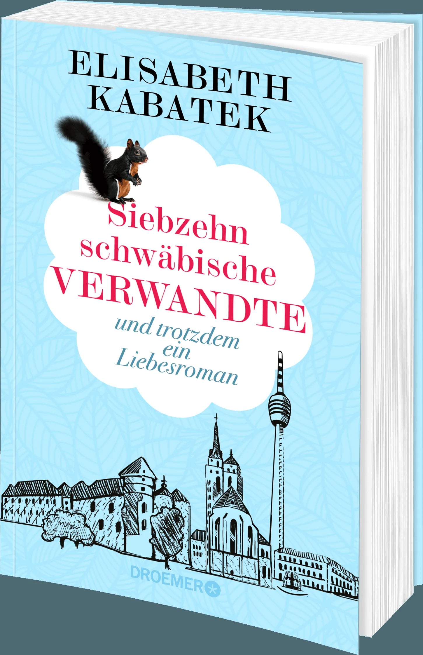 Detailansicht: Siebzehn schwäbische Verwandte (Paperback)