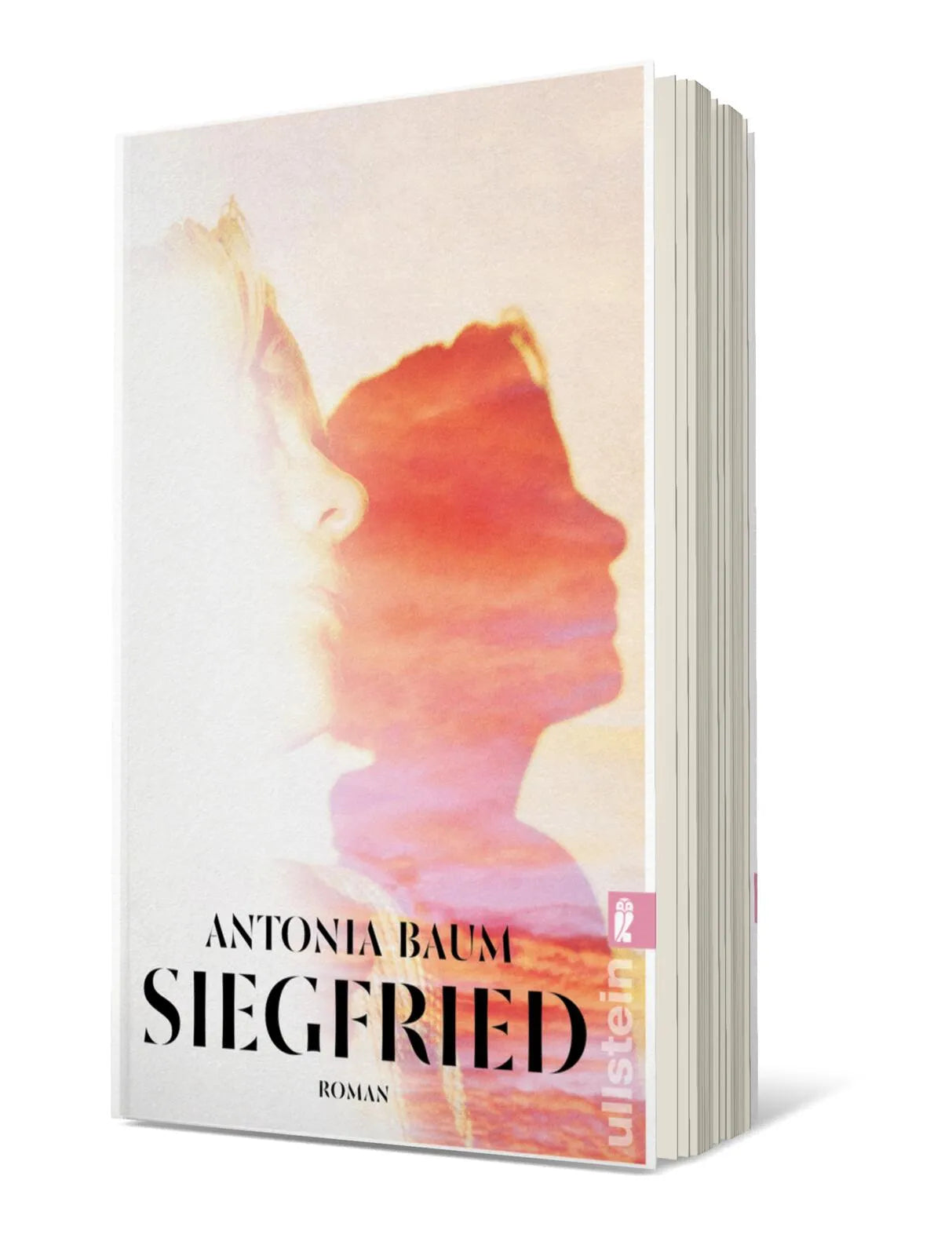 Buchcover von 'Siegfried' - Taschenbuch von Antonia Baum