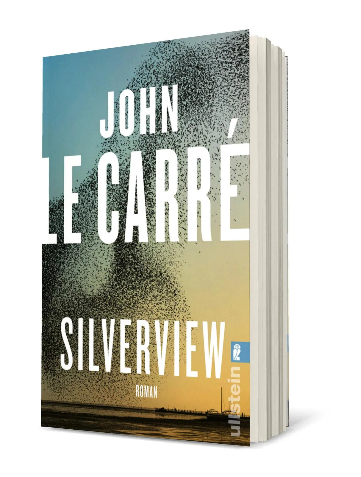 Produktansicht: Silverview (Taschenbuch)