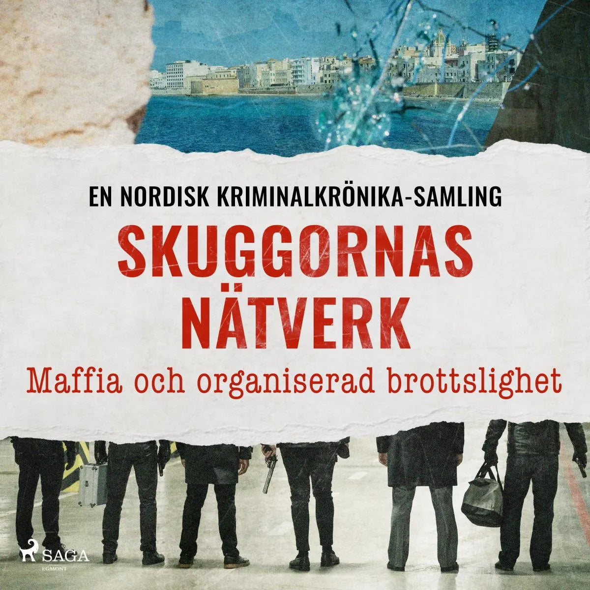 Cover: Skuggornas nätverk - Maffia och organiserad brottslighet (Hörbuch Download) von Diverse