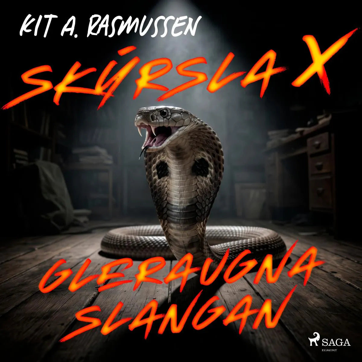 Cover: Skýrsla X - Gleraugnaslangan (Hörbuch Download) von Kit A. Rasmussen