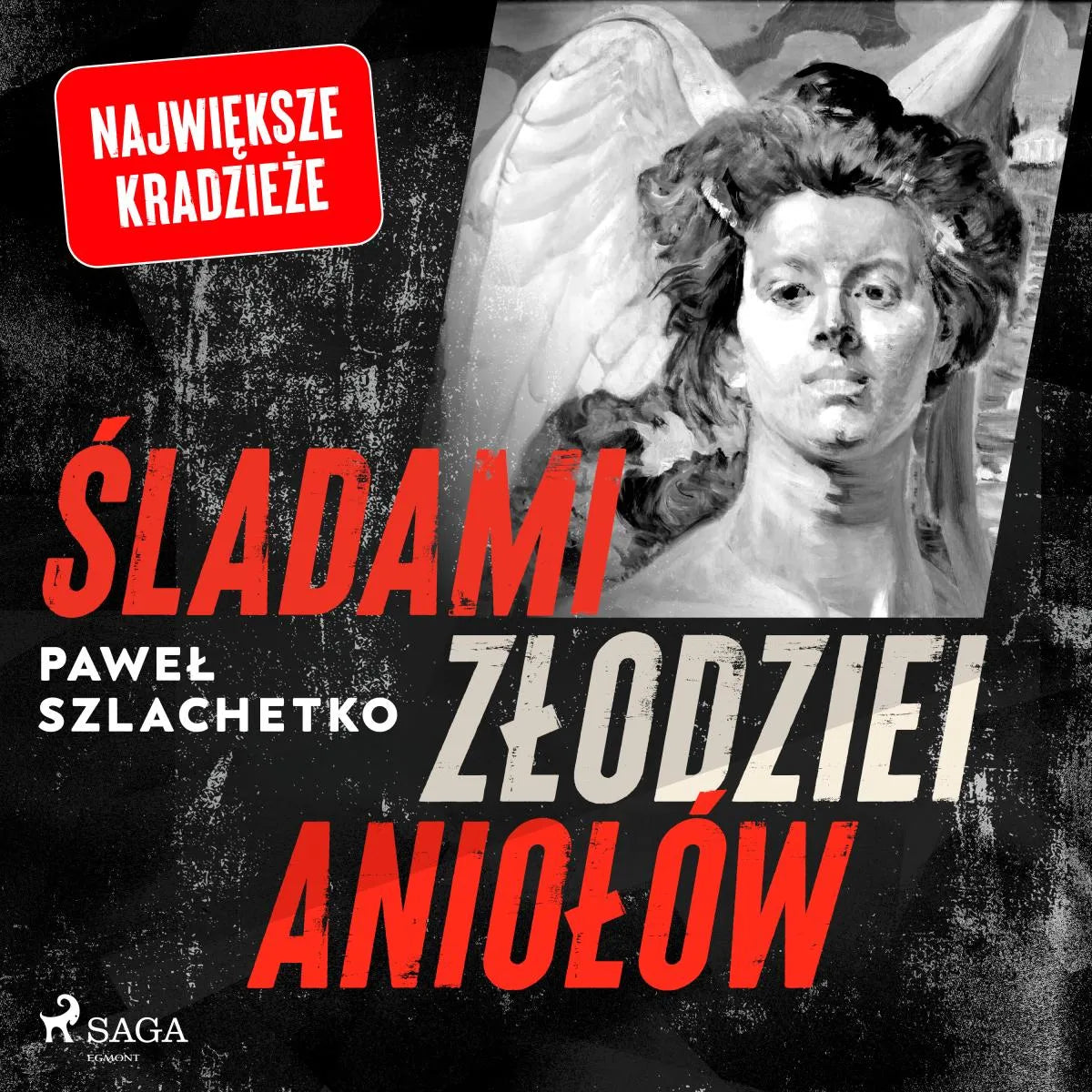 Cover: Śladami złodziei aniołów (Hörbuch Download) von Pawel Szlachetko