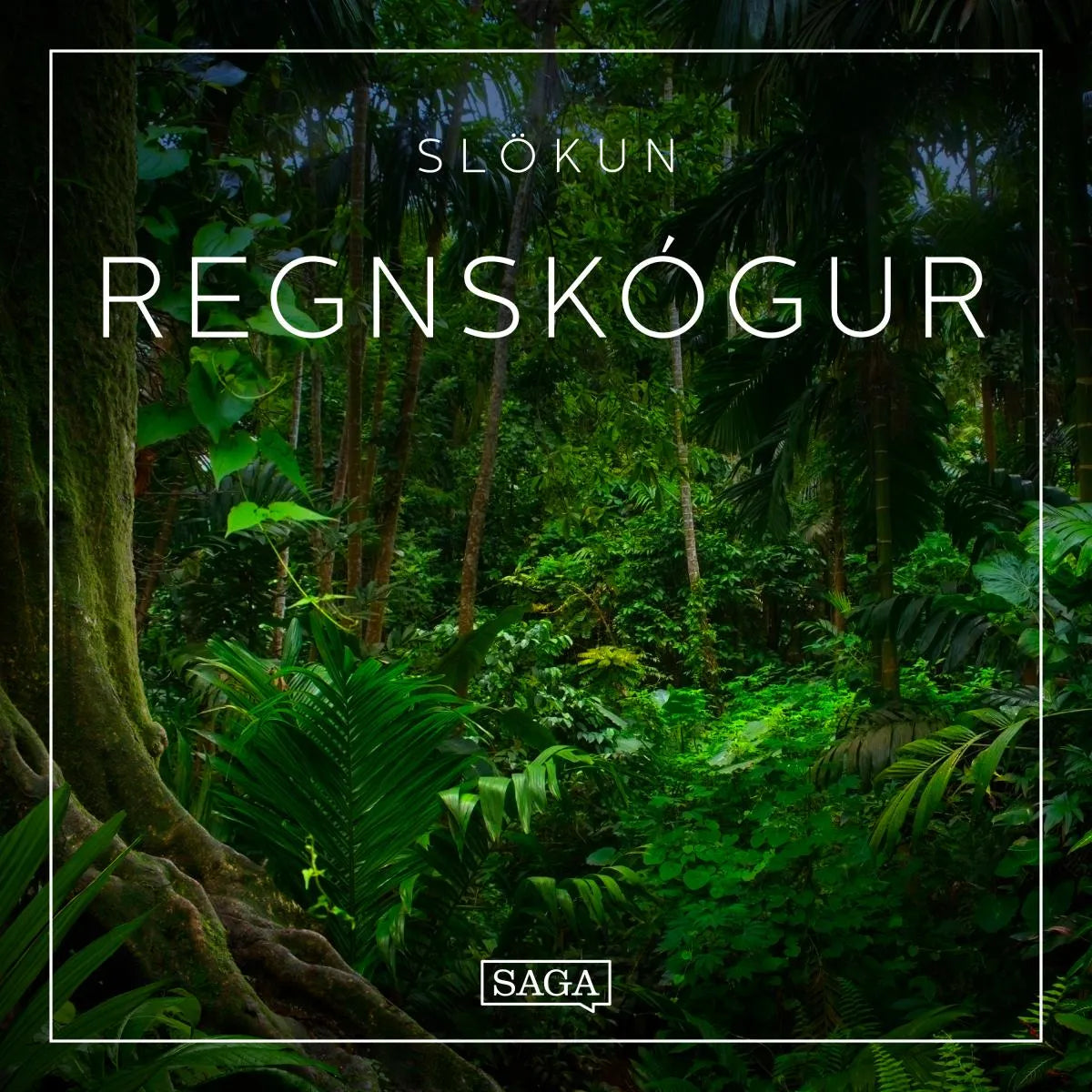 Cover: Slökun - Regnskógur (Hörbuch Download) von Rasmus Broe