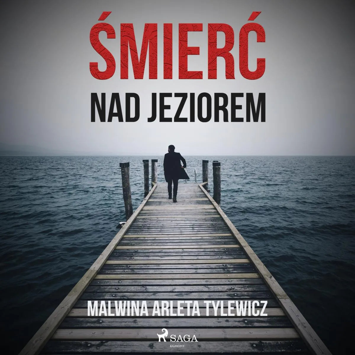 Cover: Śmierć nad jeziorem (Hörbuch Download) von Malwina Arleta Tylewicz