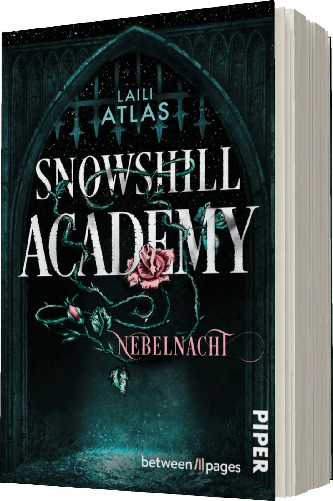 Laili Atlas - Snowshill Academy – Nebelnacht