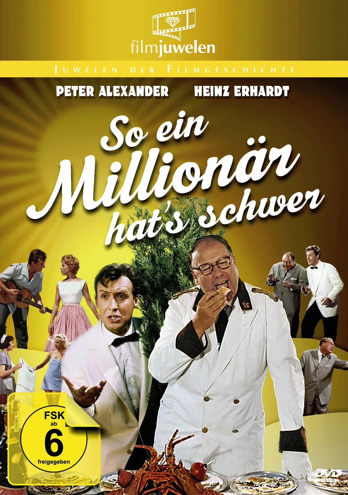 So ein Millionär hat's schwer - DVD