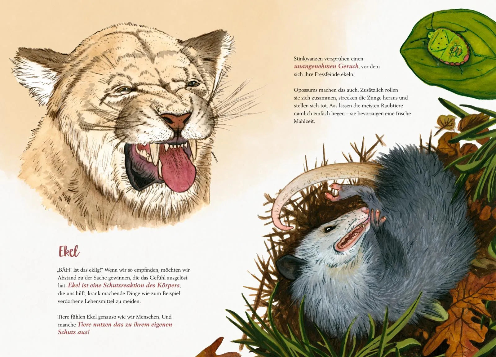 Detailansicht: So fühlen die Tiere (Hardcover)