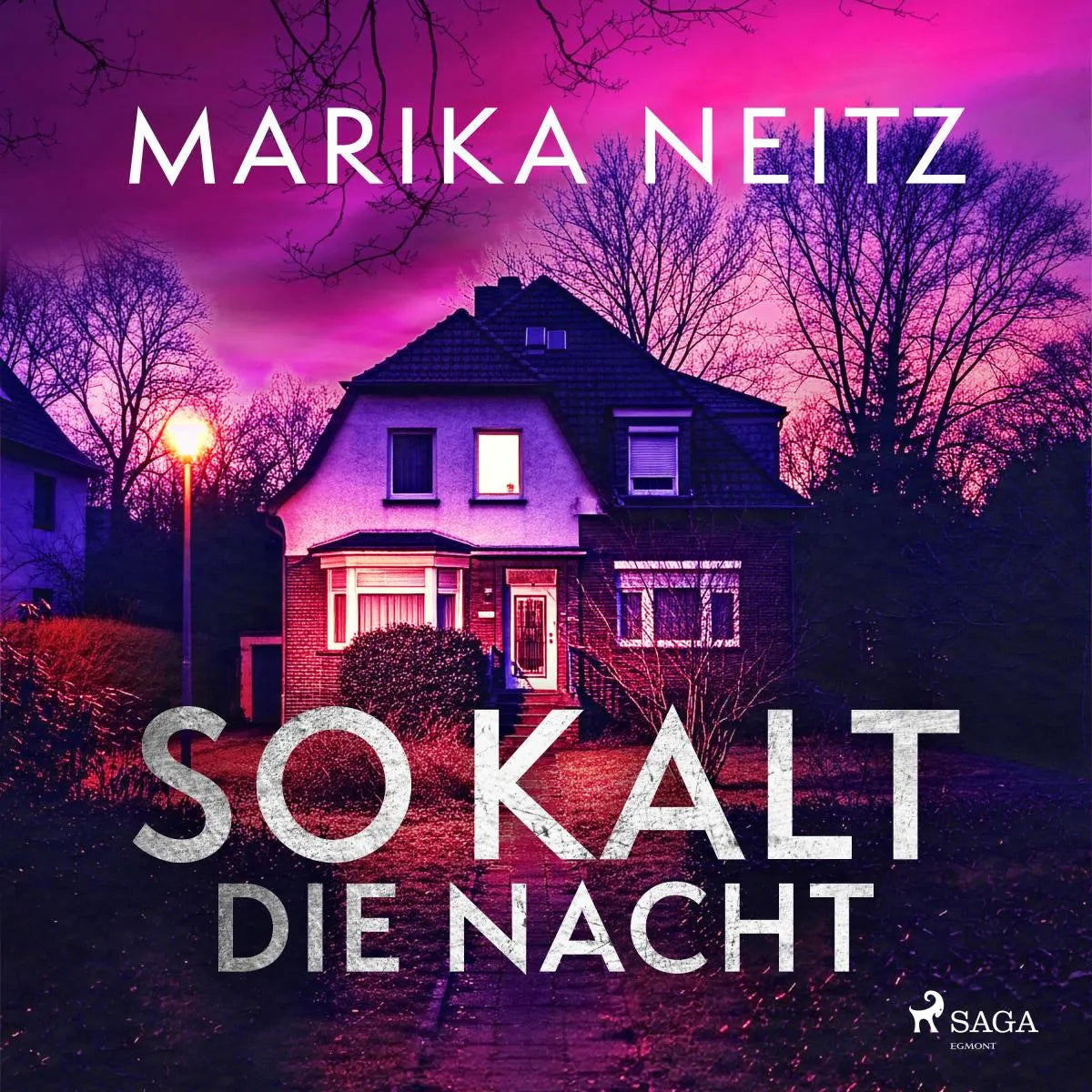 Cover: So kalt die Nacht (Hörbuch Download) von Marika Neitz