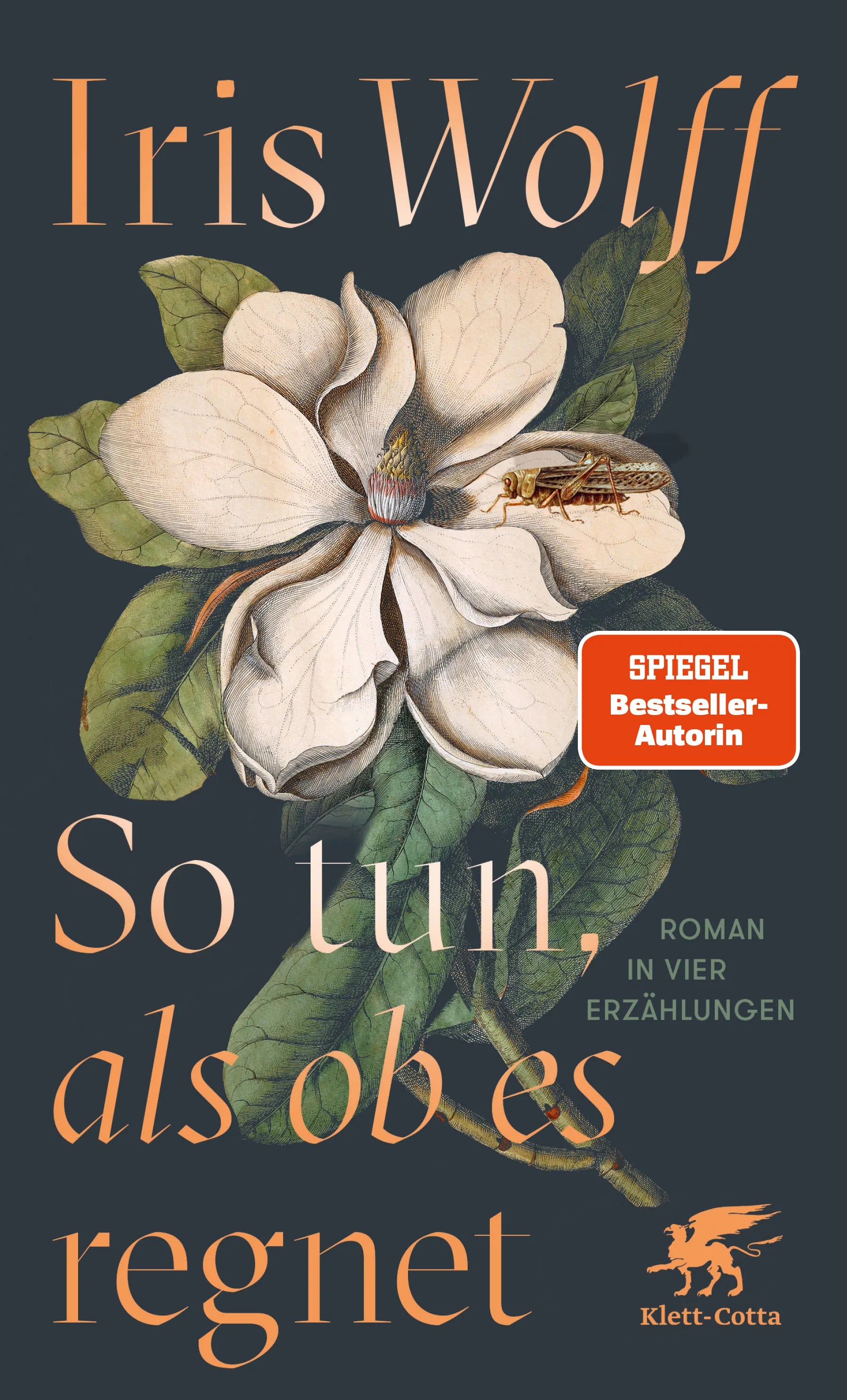 Buchcover von 'So tun, als ob es regnet' - Taschenbuch von Iris Wolff