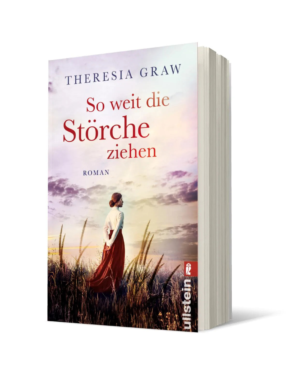 Produktansicht: So weit die Störche ziehen (Taschenbuch)